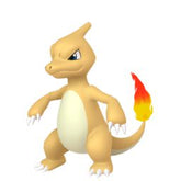Shiny Charmeleon - thepokestar